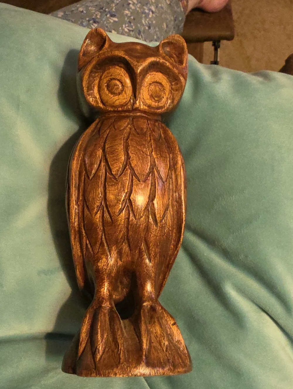 Owl